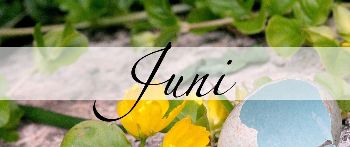 Juni-Magie_oben